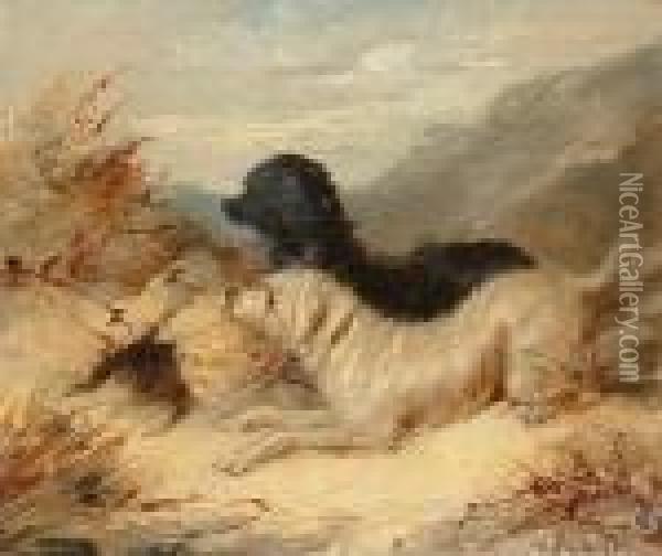 Two Terriers In A Landscape Oil Painting - George Armfield