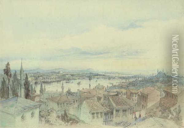 View Of The Golden Horn From The Hills Of Eyup, Constantinople Oil Painting - Amadeo Preziosi