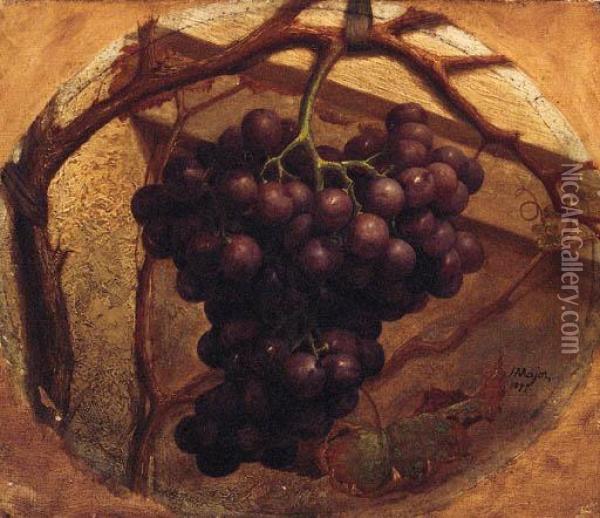 A Bunch Of Grapes Hanging From A Vine Oil Painting - Henry A. Major