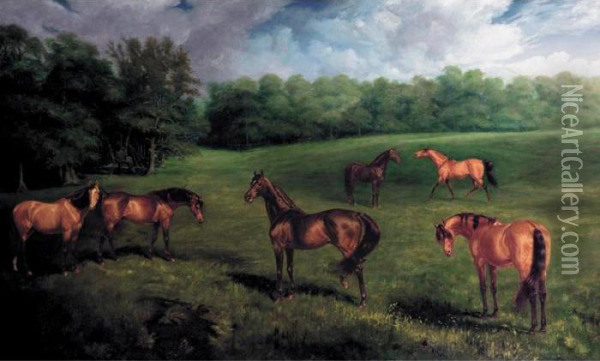 The Duke Of Portland's Stallions At Welbeck Stud Oil Painting - James Lynwood Palmer