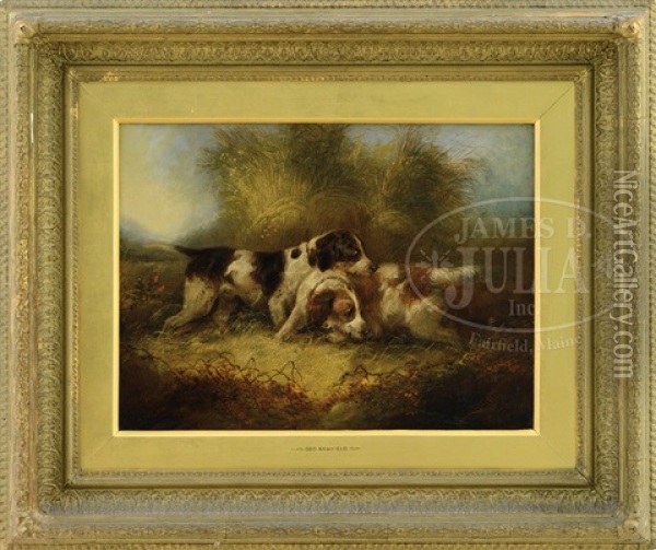 Two English Setters In Meadow Oil Painting - George Armfield