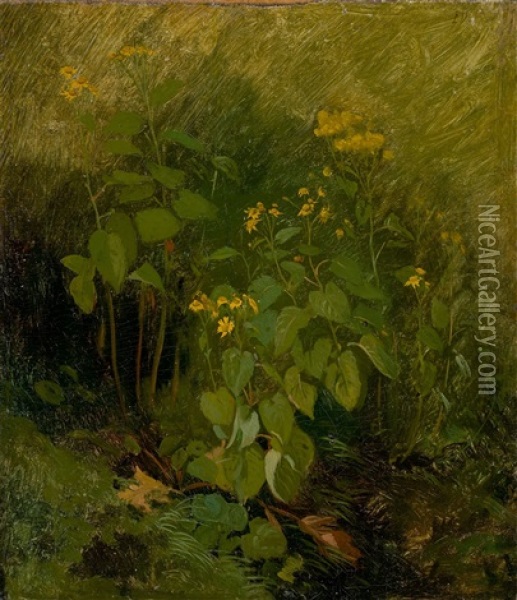 Yellow Flowers On Green Ground Oil Painting - Christian Friedrich Gille