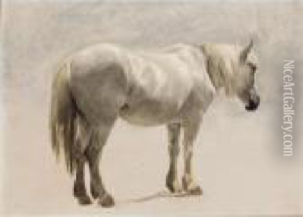 A Highland Pony Oil Painting - Landseer, Sir Edwin