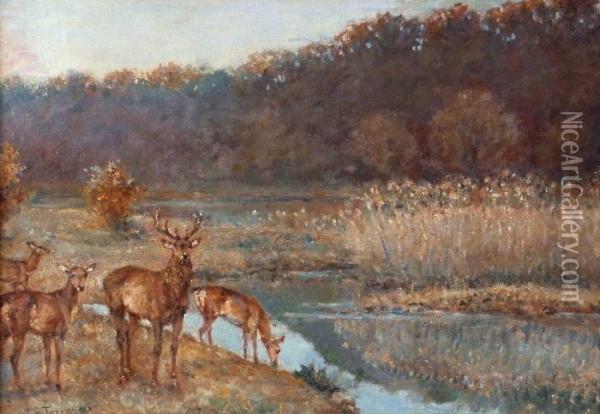 Cerfs Etbiches Au Bord D'un Etang, Fontainebleau Oil Painting - Paul Tavernier