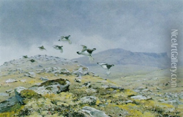 Ptarmigan In Flight Oil Painting - George Edward Lodge
