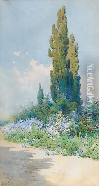 Cyprus Trees Oil Painting - Angelos Giallina