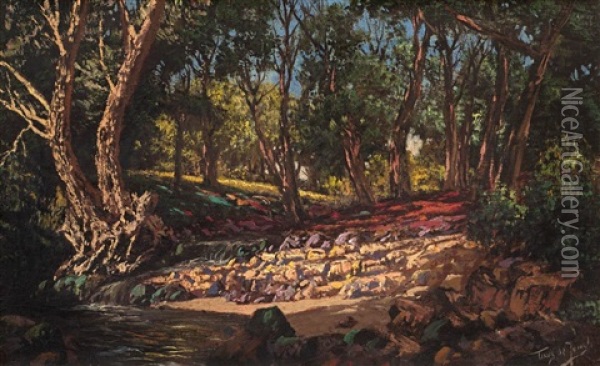 A Stream Flowing Through Trees Oil Painting - Tinus de Jongh