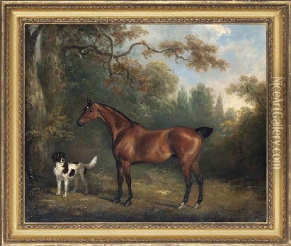 A Bay Horse And A Spaniel In A Wooded Landscape Oil Painting - Charles Henry Schwanfelder