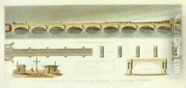 Plan And Elevation Of The Waterloo Bridge Over The River Thames Oil Painting - Matthew Dubourg