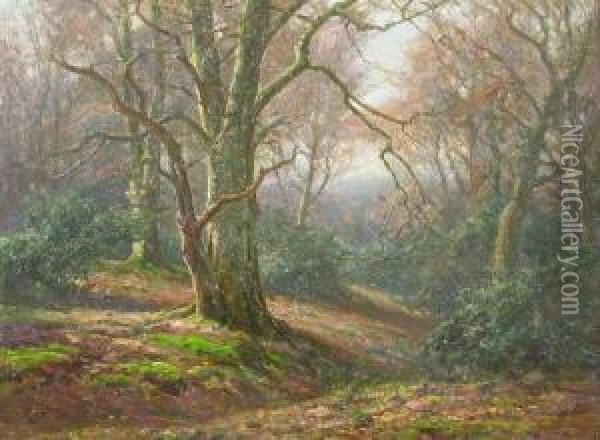 New Forest Scene In Autumn Oil Painting - Frederik Golden Short