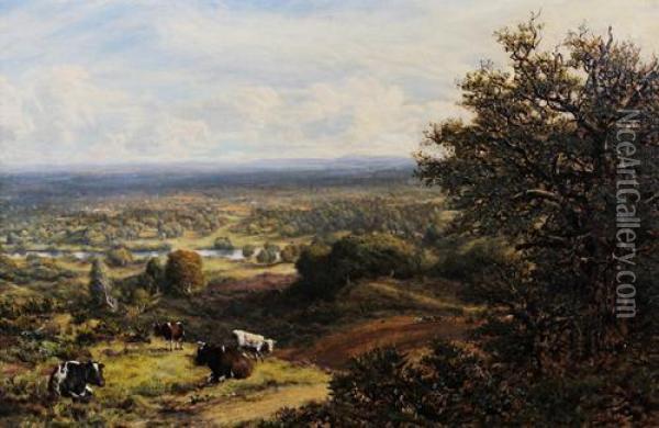 The River Mole, Near Dorking Oil Painting - George William Mote