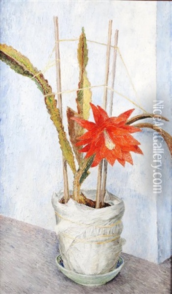 Flowering Cactus Oil Painting - Dora Carrington