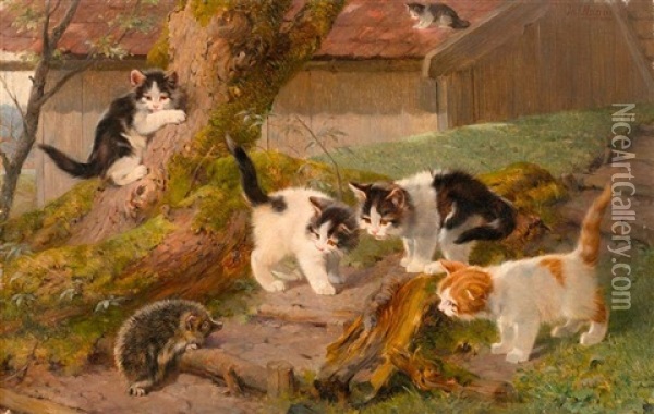 Funf Katzen Und Ein Igel Oil Painting - Julius Adam the Younger
