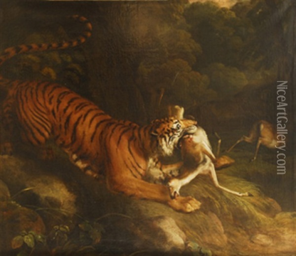 Tigre Cazando Un Gamo Oil Painting - Philipp Reinagle