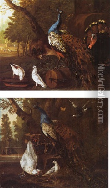 Assembly Of Birds In A Park Oil Painting - Pieter Casteels III
