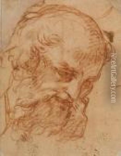 Head Of A Bearded Man Oil Painting - Pietro Da Cortona (Barrettini)