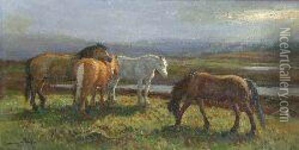 Moorland Ponies Oil Painting - J. Murray