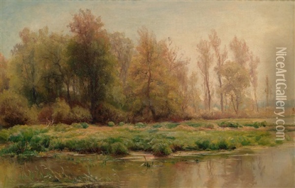 Moorlandschaft Oil Painting - Hendrik Dirk Kruseman van Elten