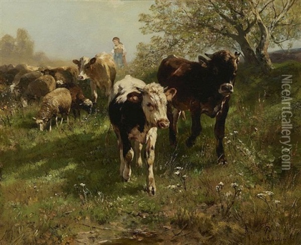 Jungvieh Auf Der Weide Oil Painting - Anton Braith