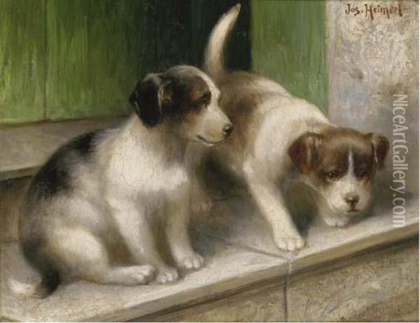 Mischevious Puppies Oil Painting - Josef Heimerl