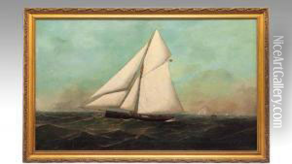 Racing Yacht At Sea Oil Painting - Antonio Nicolo Gasparo Jacobsen