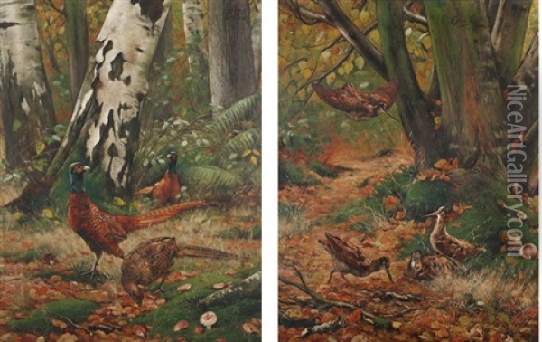 Faisans Et Becasses Au Bois (pair) Oil Painting - Eugene Joors