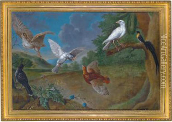 Ampio Paesaggio Con Beccaccia Oil Painting - Carl Adolph