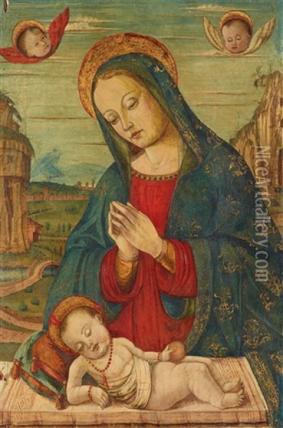 Madonna And Child Oil Painting - Girolamo da Treviso the Elder
