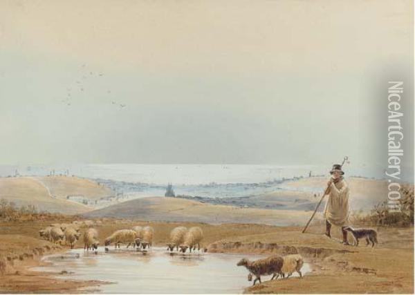 A Shepherd And His Flock On The South Downs Above Brighton Oil Painting - Frederick William Booty