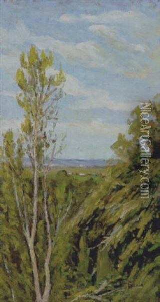 Paesaggio Di Fauglia Oil Painting - Luigi Gioli