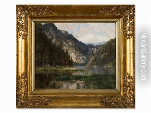 Alpine Landscape Oil Painting - Theodor Alphons