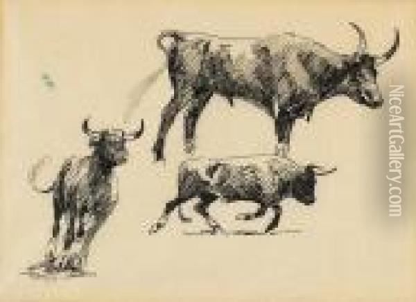 Studies Of Steers And Horses (a Group Of Four) Oil Painting - John Edward Borein