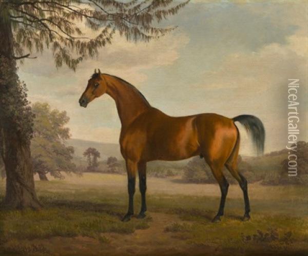 A Chestnut Arab Stallion In A Landscape Oil Painting - Sawrey Gilpin