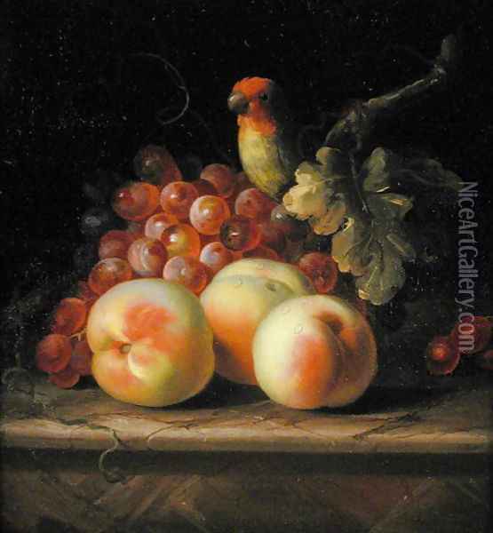 Still Life with Peaches and Grapes on a Ledge with a Parrot perched above Oil Painting - Tobias Stranover