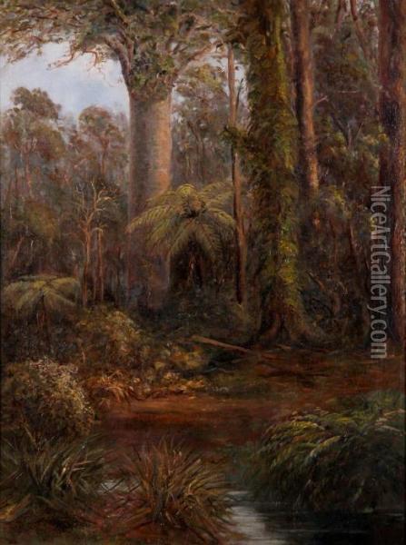 Bush Scene With Kauri Trees Oil Painting - Charles Blomfield