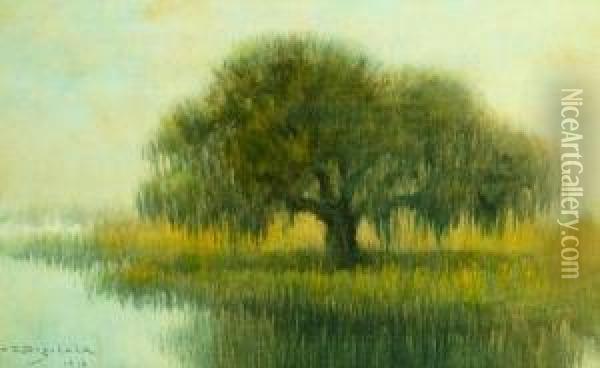 Weeping Willow In The Mist Oil Painting - Alexander John Drysdale