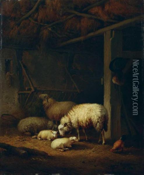 Stall Mit Schafen Und Einem Hahn. Oil Painting - Eugene Joseph Verboeckhoven