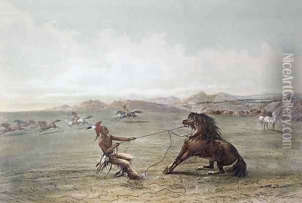 Catching Wild Horses on the Plains Oil Painting - George Catlin