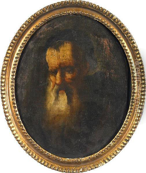 A Study Of An Old Man Oil Painting - Salomon Koninck