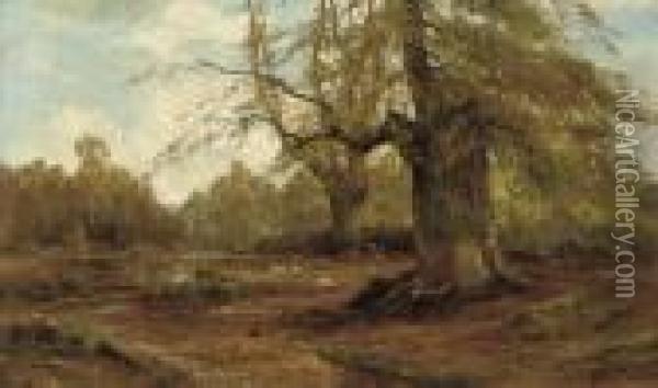 Burnham Beeches, Autumn Oil Painting - Alfred de Breanski