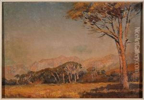 Landscape, Northern Transvaal Oil Painting - Frans David Oerder