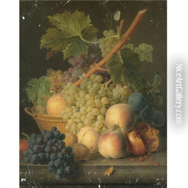 Still Life With Grapes And Peaches In A Basket, An Open Pomegranate, Plums, Black Grapes And More Peaches On The Marble Ledge Beneath Oil Painting - Jan Frans Van Dael