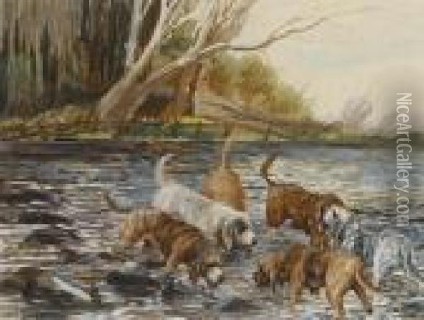 Six Otterhounds In A River Oil Painting - Binks, R. Ward