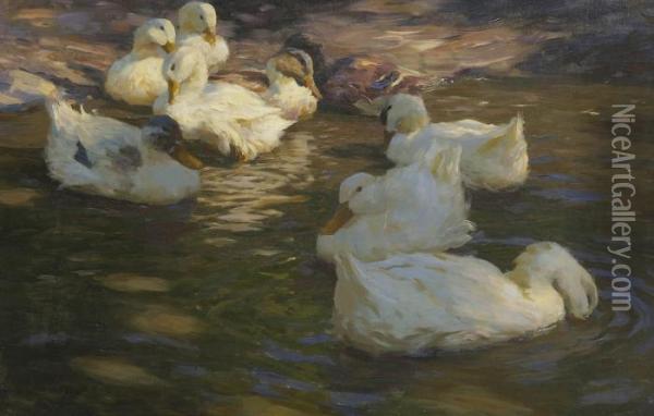 Neun Enten Im Wasser. Oil Painting - Alexander Max Koester