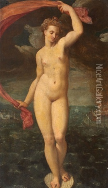 Venus Oil Painting - Friedrich Sustris