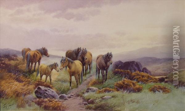 Horses And Ponies On Amoorland Path Oil Painting - Thomas, Tom Rowden