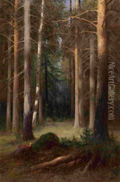 In A Pine Grove Oil Painting - Aleksei Aleksandrovich Pisemsky