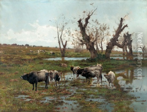 Cattle Grazing In The Campagna Oil Painting - Pietro Barucci