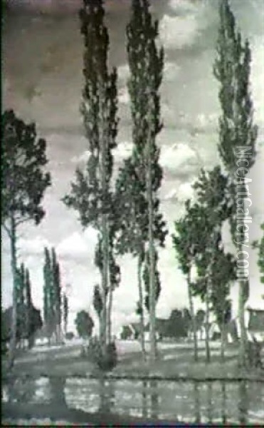 Silberpappeln Im Dachauer Moos Oil Painting - Richard Kaiser