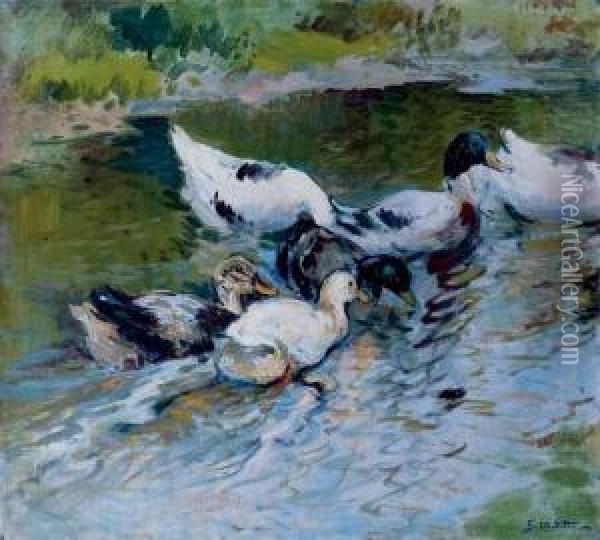 Patos En Un Estanque (ducks On A Pond) Oil Painting - Segundo Matilla Y Marina